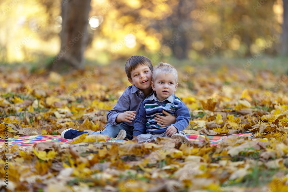 Two little brothers sitting on maple leaves in the park. Two little brothers sitting on maple leaves in the park.