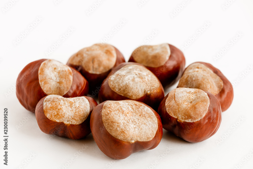 several large chestnuts on a white background several large chestnuts on a white background