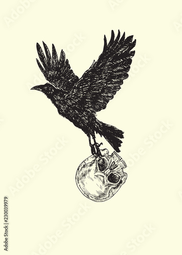 Crow flying with human skull in paws, hand drawn doodle, sketch outline, vector illustration