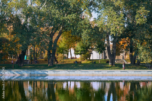autumn in the park