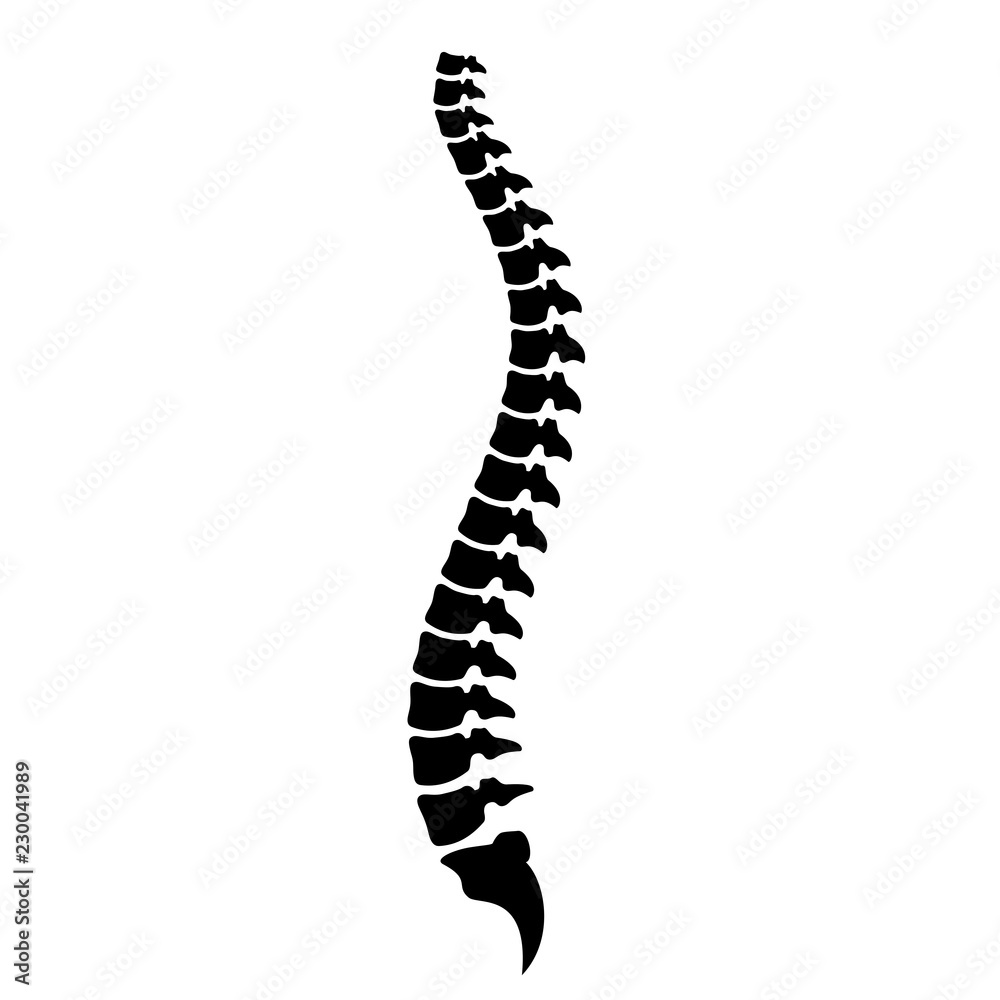 Spinal cord vector icon Spinal cord vector icon
