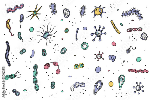 Bacteria cells set composition. Vector illustration. photo