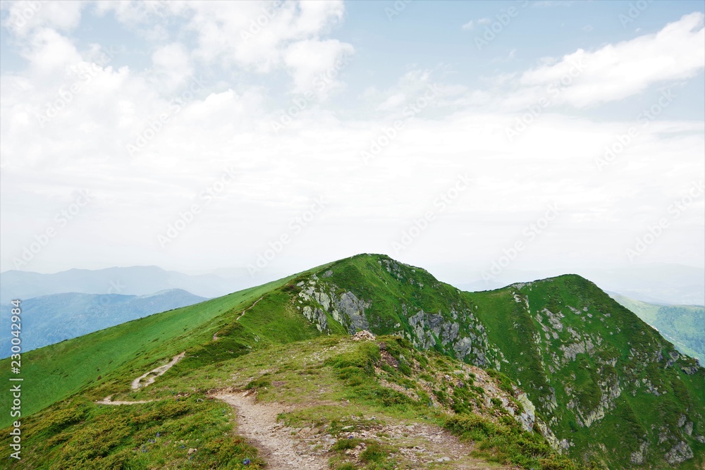 Fototapeta premium Green peak