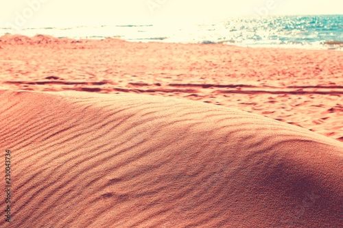 sunny weather   sandy dunes on the beach 