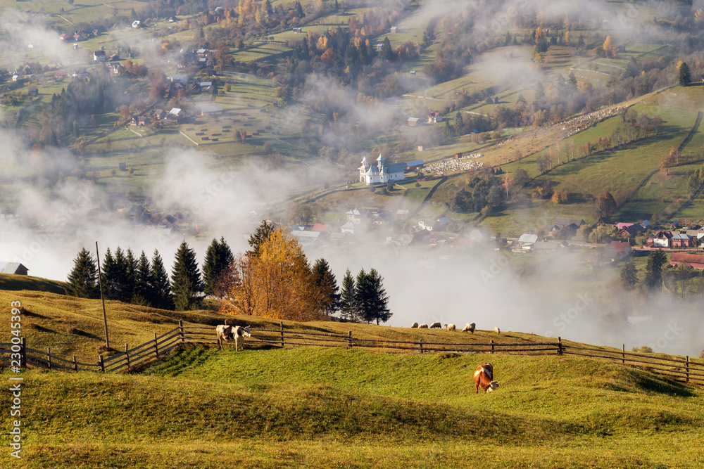 Foggy morning in Bucovina. Autumn colorful landscape in the romanian village - obrazy, fototapety, plakaty 