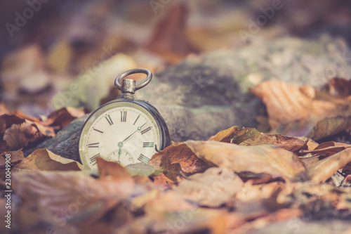 Retro Taschenuhr auf Steinuntergrund, braune Blätter, Herbst, Symbol für Zeit