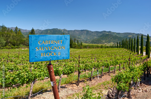 Cabernet Sauvignon wine grape variety sign in vineyard