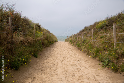 Walking path through sand dunes and vegetation