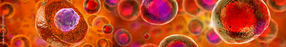 Embryonic stem cells , Cellular therapy , Regeneration , Disease treatment - obrazy, fototapety, plakaty 