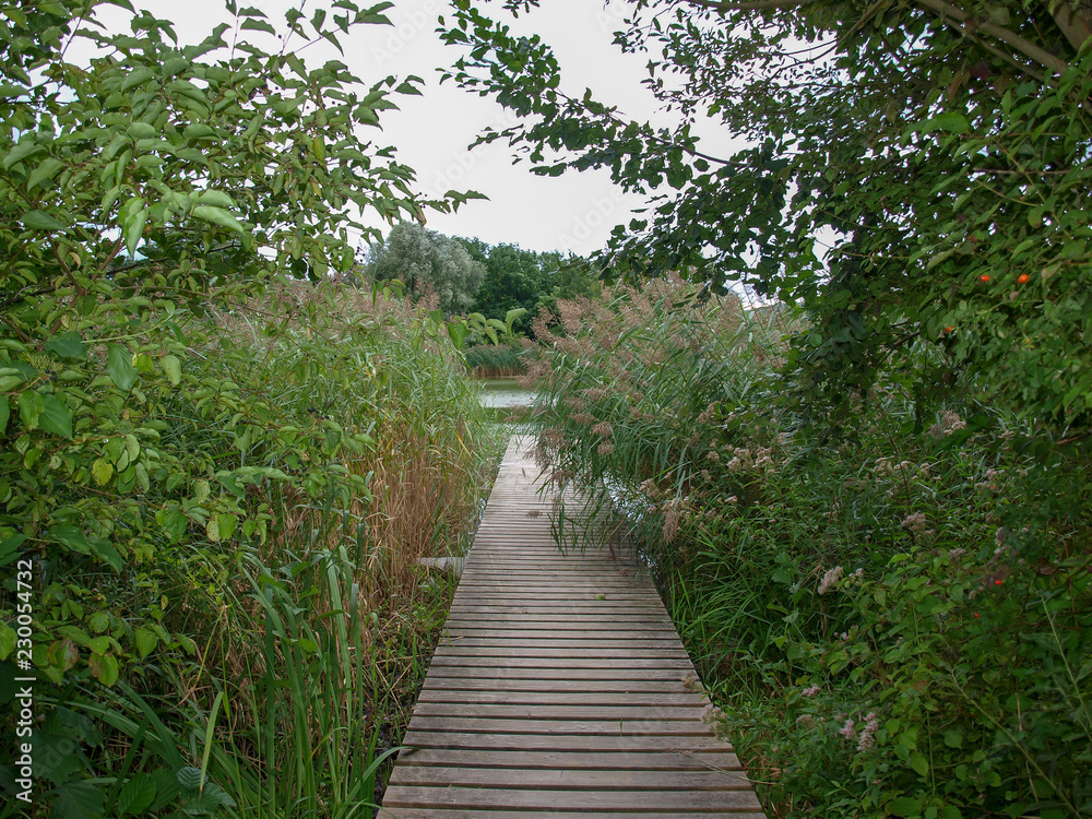 Lörrach Grüttpark im Südwesten Baden-Württembergs. Naturlehrpfad und Landschaftspark im Grütt mit kleinem See, wald, wiesen und Rosengarten Lörrach Grüttpark im Südwesten Baden-Württembergs. Naturlehrpfad und Landschaftspark im Grütt mit kleinem See, wald, wiesen und Rosengarten