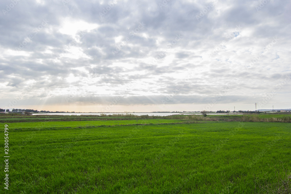 Green summer meadow and pond with blue cloudy sky Green summer meadow and pond with blue cloudy sky
