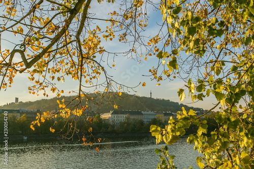 View of colorful autumn landscape, branches, yellow linden leaves, red brick fence, river Moldau, hill with lookout tower Petrin in distance, blue sky, sunny evening, seagulls, Prague, Czech Republic