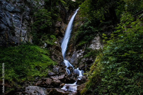 Forestwaterfall