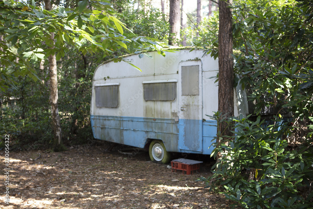 Abandon Caravans in the Forest Abandon Caravans in the Forest