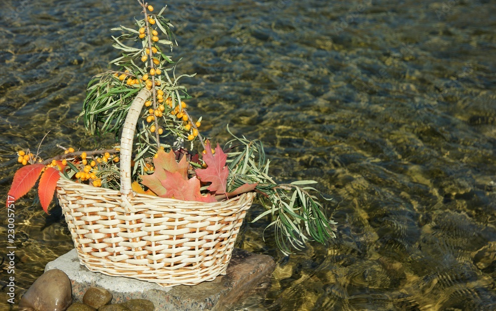 Autumn bouquet in a wicker basket on the background of the river, floristic composition