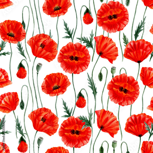 Poppies seamless pattern. Watercolor illustration with poppies.
