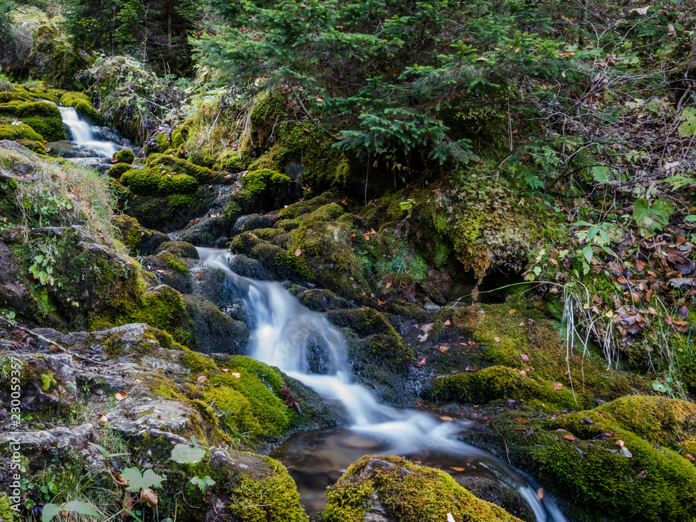 Ruisseau alpin en pose longue Ruisseau alpin en pose longue
