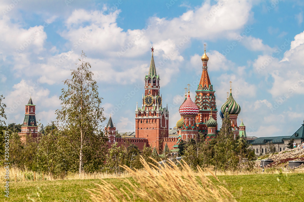 view on st basils cathedral and kremlin in moscow