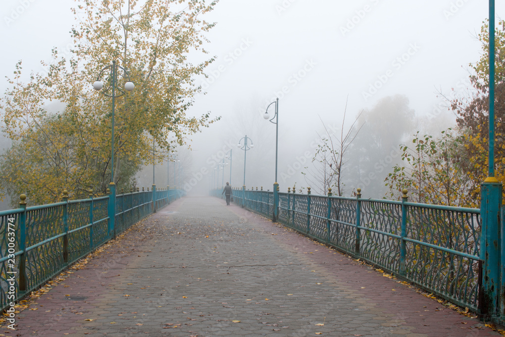 Beautiful autumn state of nature in the early foggy October morning Beautiful autumn state of nature in the early foggy October morning