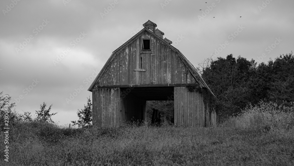 Barn Barn