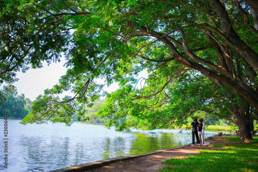 People with dense trees have lakes and parks. Natural habitat