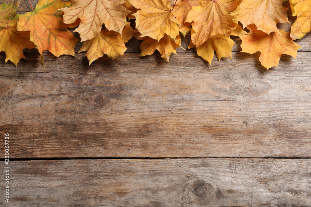 Composition with autumn leaves and space for text on wooden background, top view
