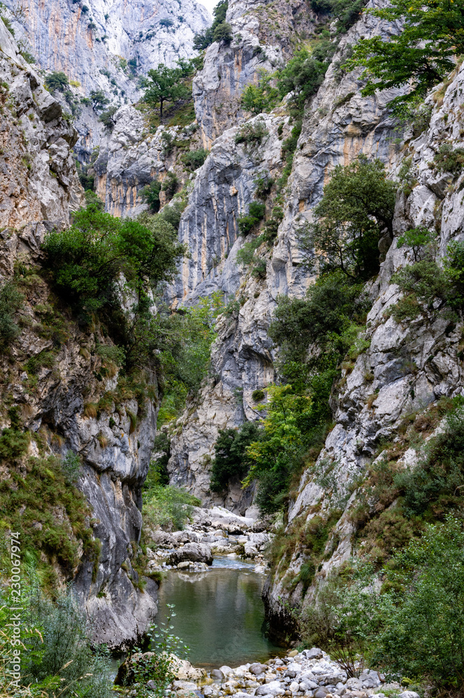 Obraz premium Schlucht in den Bergen