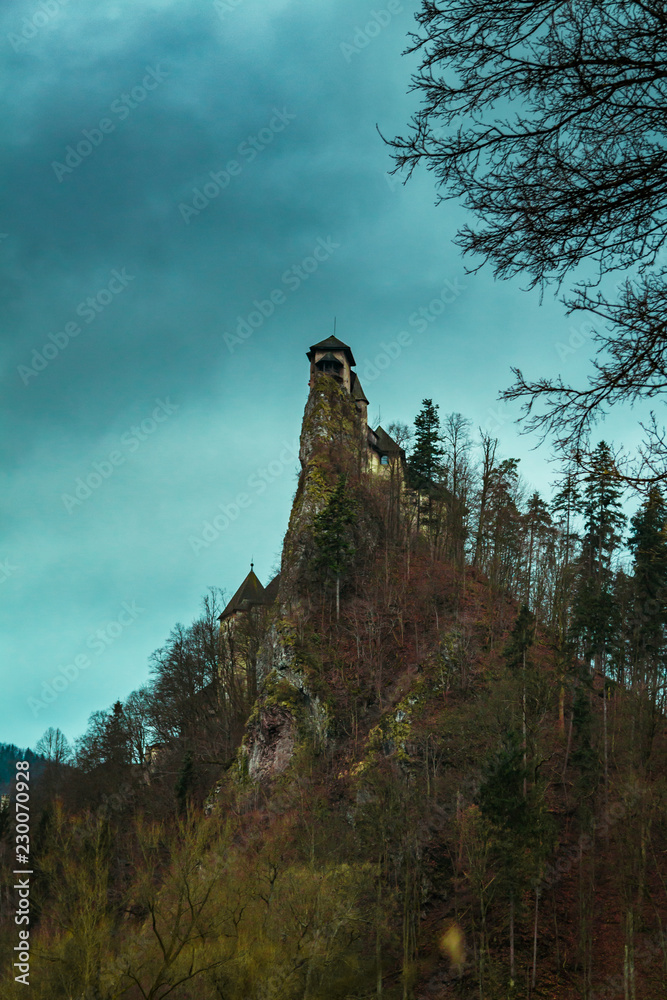 Castle on a hill, European Forest in Orava Slovakia