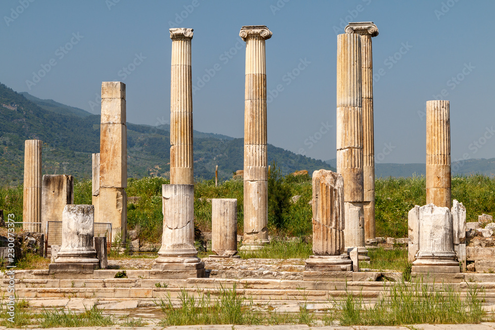 Ruins of the ancient city Magnesia (Magnesia on the Maeander), Turkey