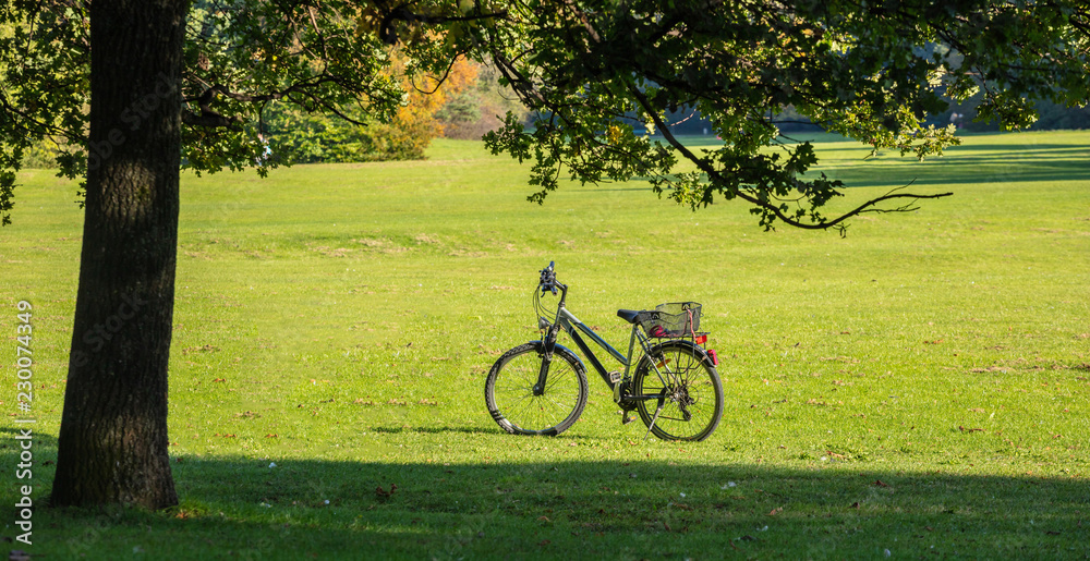 City park in Munich, Germany. View of a bike in a green field in the afternoon City park in Munich, Germany. View of a bike in a green field in the afternoon