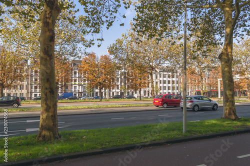 autumn trees near road of Hague