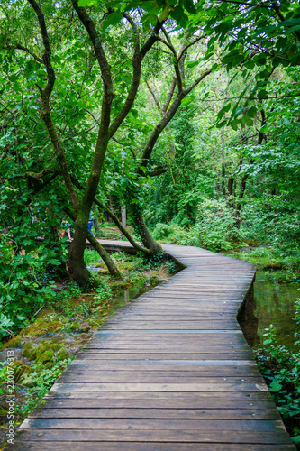wooden pathway in Krka National Park