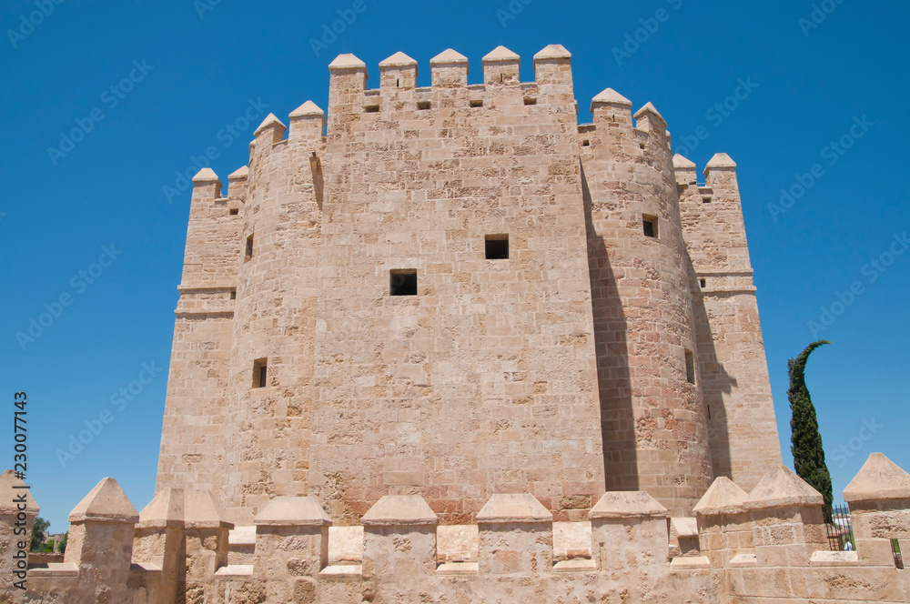 Puente Romano, Torre de la Calahorra, Córdoba, Andalusien, Spanien