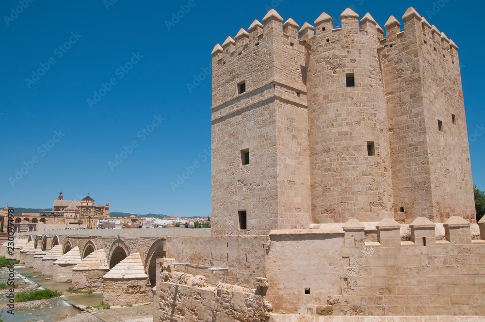 Puente Romano, Torre de la Calahorra, Córdoba, Andalusien, Spanien