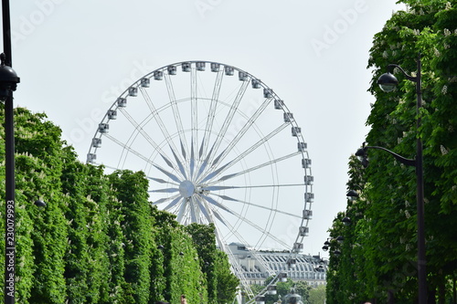 ferris wheel in park