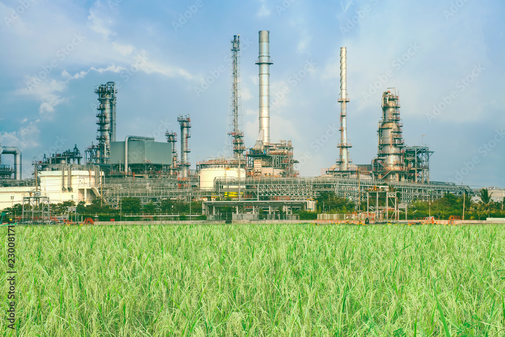 Refinery or petrochemical industry with paddy field.