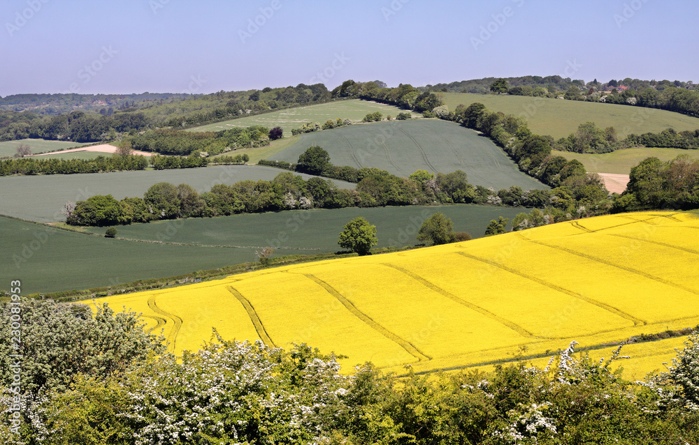 An English Rural Landscape in the Chiltern Hills