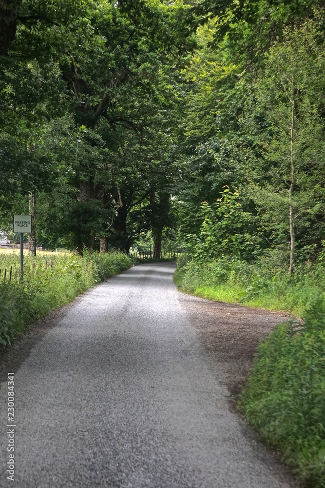 Passing Place sign on a single-lane country road in the Highlands of Scotland. The cleared area to the right of the road is for vehicles to pull over and allow oncoming traffic to pass.