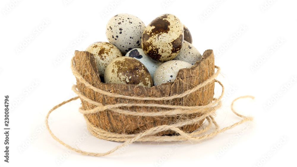 raw quail eggs in organic package from coconut shell isolated on white background raw quail eggs in organic package from coconut shell isolated on white background