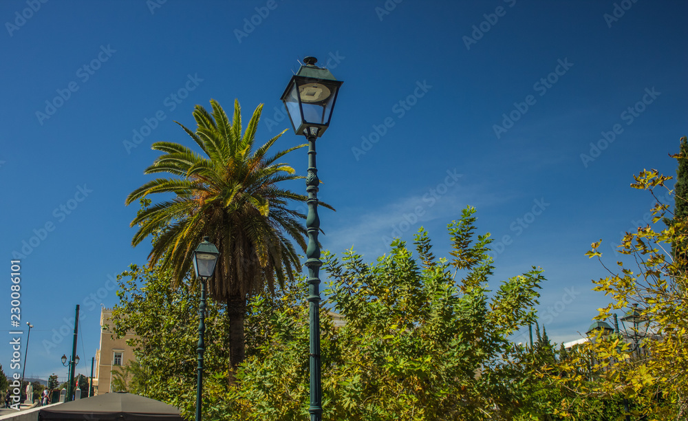 street outdoor place south Mediterranean scenic landscape of palm tree leaves and lantern, summer warm weather with empty blue sky, copy space