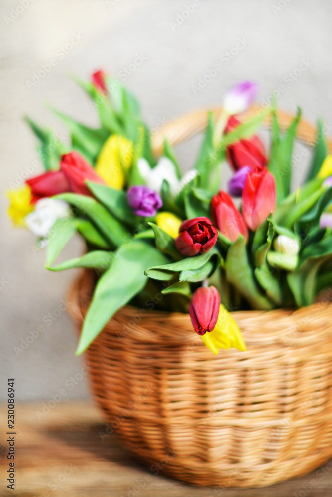 Floral background, greeting card, harvesting, mocap for greetings for mother's day, international women's day: bouquet of colorful tulips in basket on wooden background, copyspace