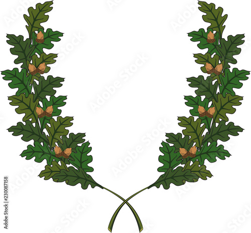 Oak branches