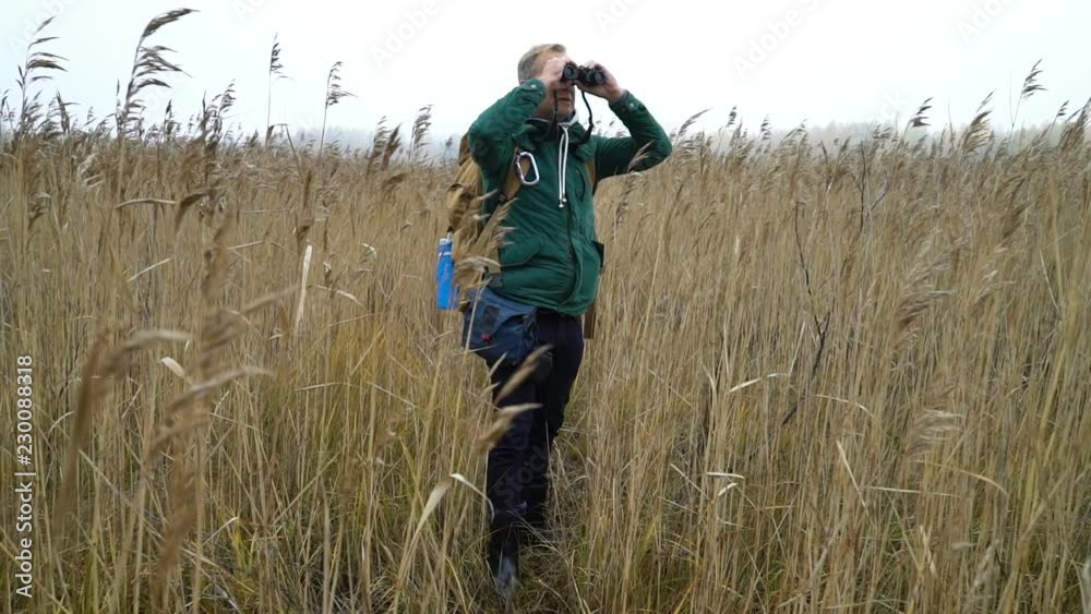 A middle-aged man with a backpack walks along a water path through reed beds on a lake, watching birds with binoculars in autumn in Finland. Slow motion A middle-aged man with a backpack walks along a water path through reed beds on a lake, watching birds with binoculars in autumn in Finland. Slow motion