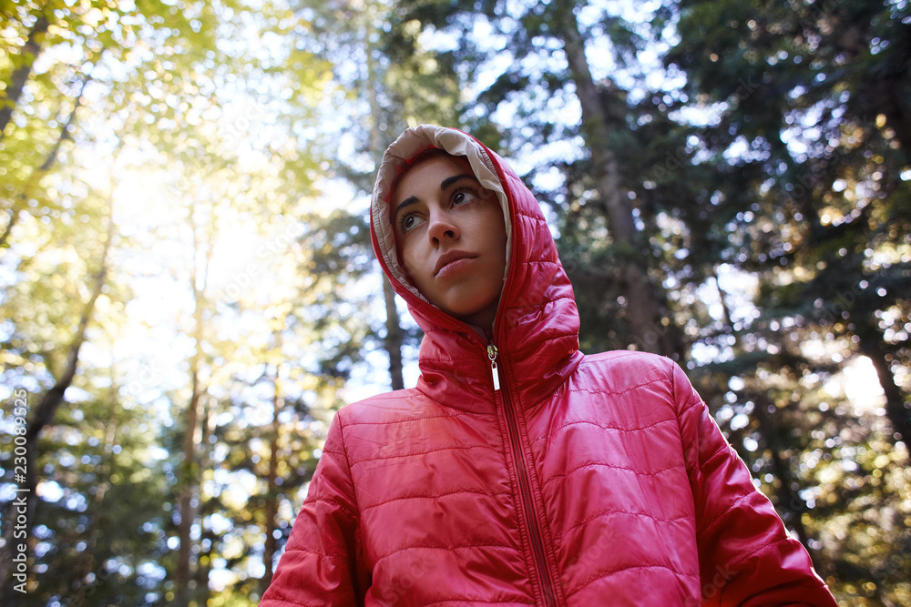 woman in a red jacket walks in the autumn forest woman in a red jacket walks in the autumn forest