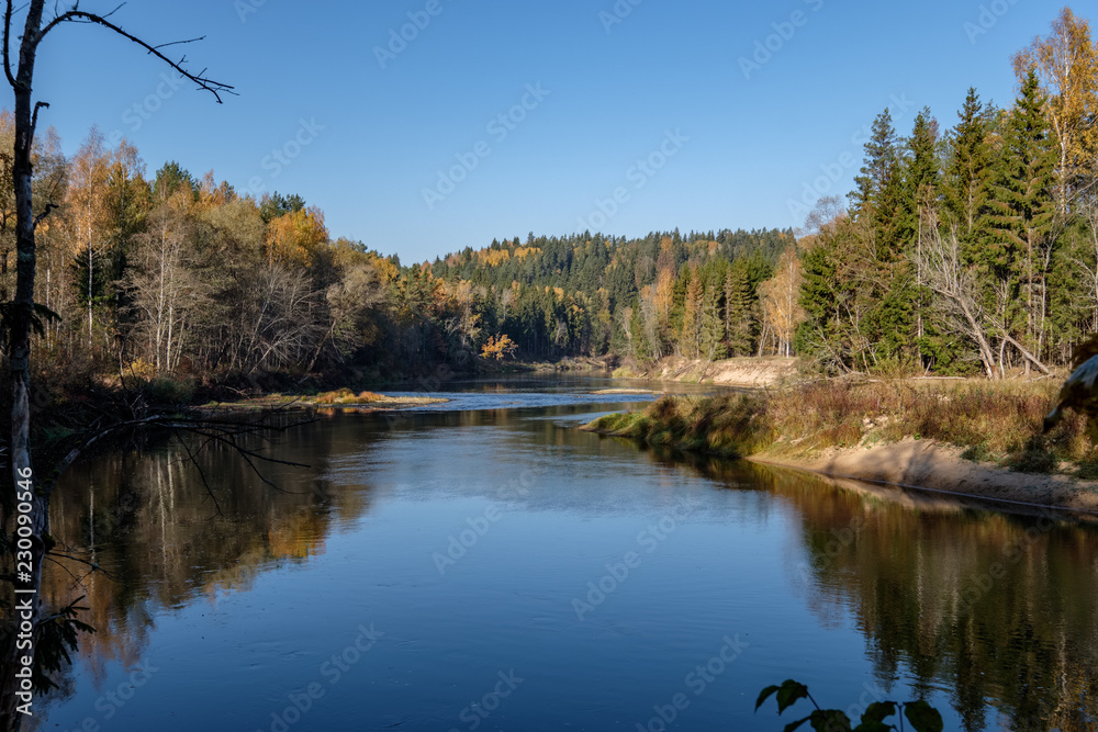forest river in autumn colored country