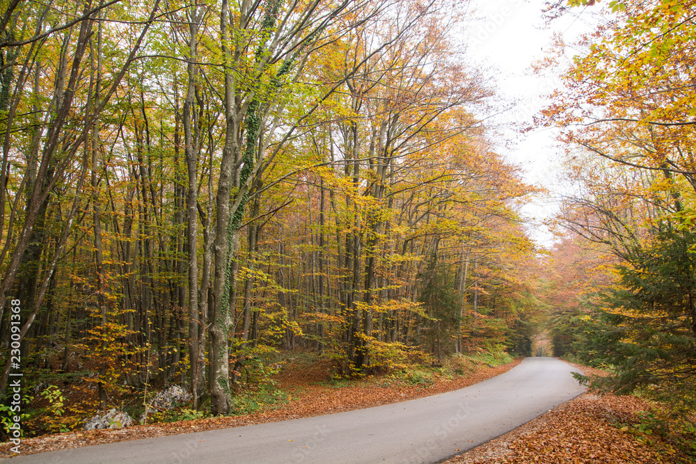 Obraz premium Autumn colors and reflections at Plitvice Lakes National Park
