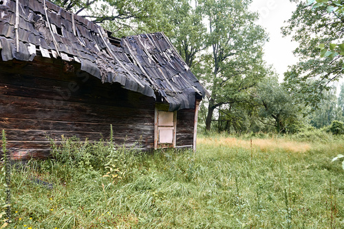 old wooden house in the forest photo