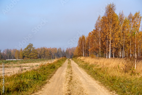 country gravel road in autumn colors in fall colors