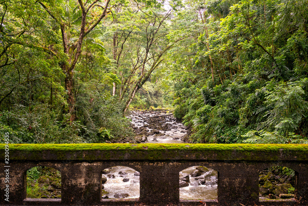 Moss-covered bridge at the tropical forest of Laupahoehoe Point Beach Park on the Big Island, Hawaii (United States) Moss-covered bridge at the tropical forest of Laupahoehoe Point Beach Park on the Big Island, Hawaii (United States)