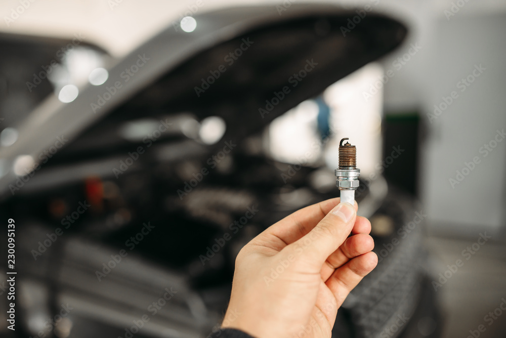 Obraz premium Mechanic shows spark plugs of the vehicle